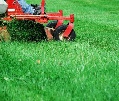 Lawn Mowing Company in Mars PA