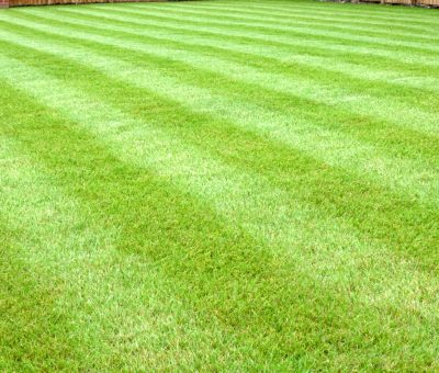 Lawn Mowing Company in Wexford PA