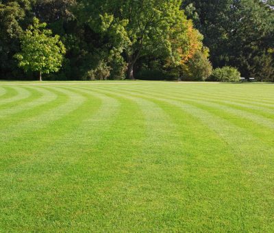 Wexford PA Lawn Care
