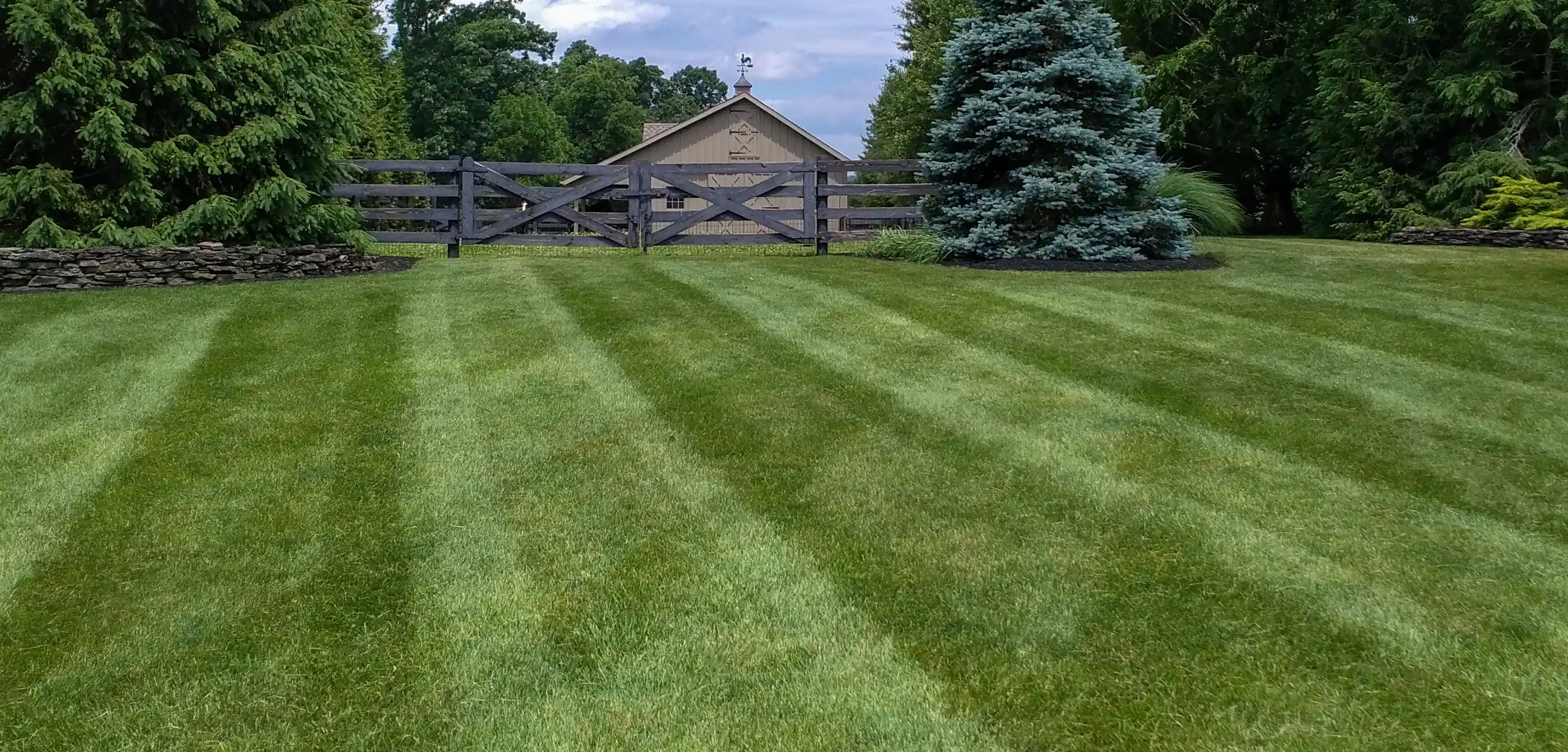 Wexford Pennsylvania Lawn Mowing
