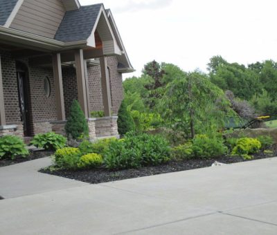 home landscaping