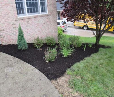 hillside landscaping